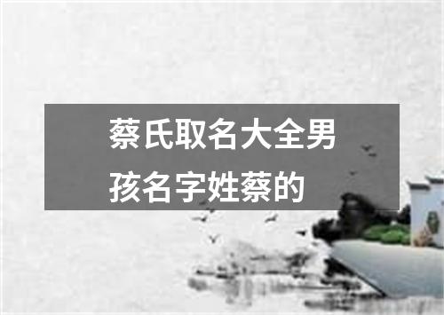 蔡氏取名大全男孩名字姓蔡的