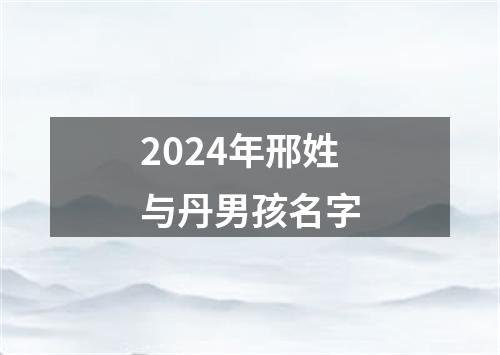 2024年邢姓与丹男孩名字