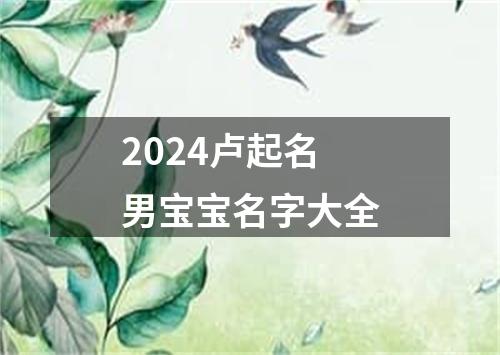 2024卢起名男宝宝名字大全