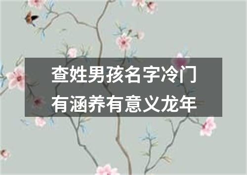 查姓男孩名字冷门有涵养有意义龙年