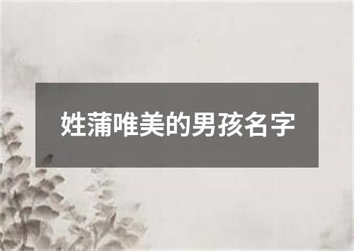 姓蒲唯美的男孩名字