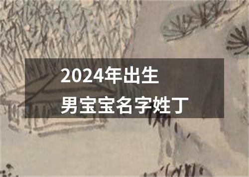 2024年出生男宝宝名字姓丁