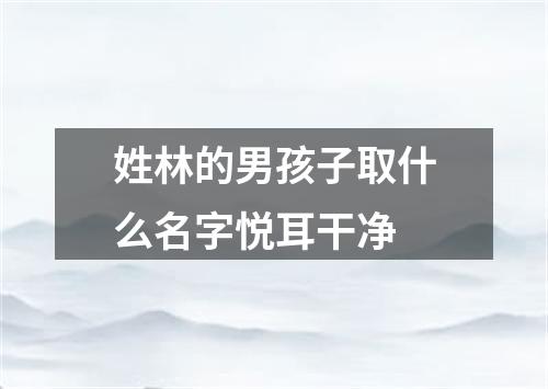 姓林的男孩子取什么名字悦耳干净