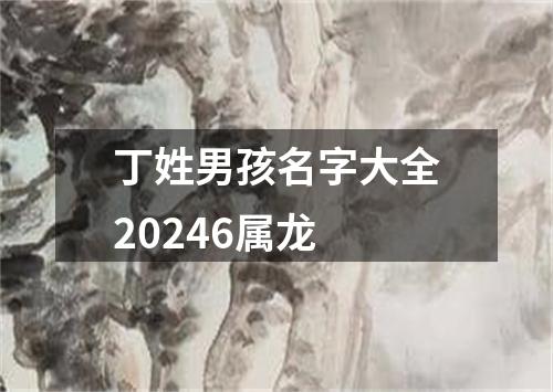 丁姓男孩名字大全20246属龙