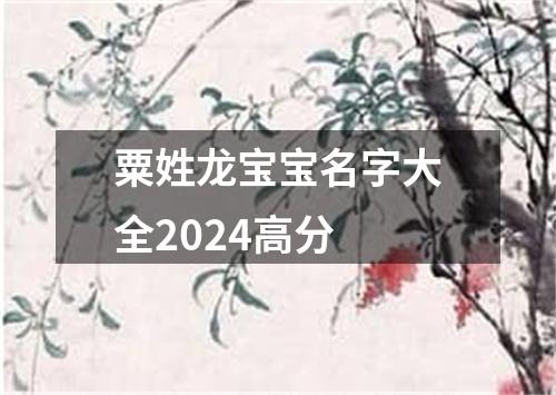 粟姓龙宝宝名字大全2024高分