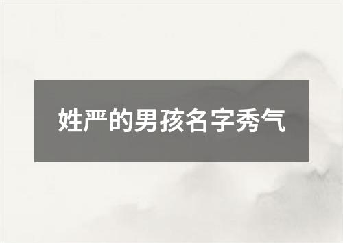 姓严的男孩名字秀气