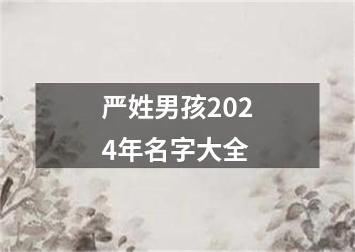 严姓男孩2024年名字大全