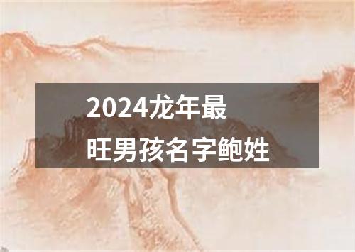 2024龙年最旺男孩名字鲍姓