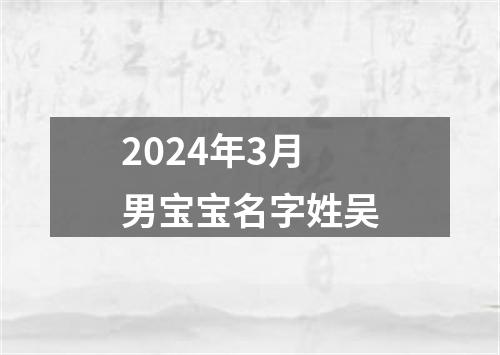 2024年3月男宝宝名字姓吴