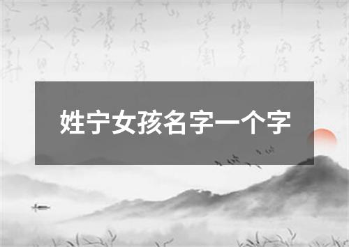 姓宁女孩名字一个字