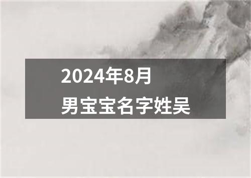 2024年8月男宝宝名字姓吴