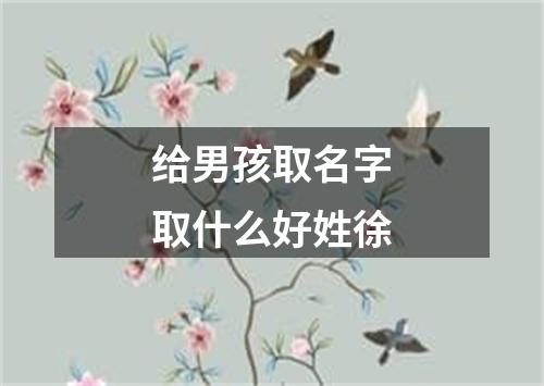 给男孩取名字取什么好姓徐