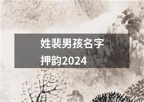 姓裴男孩名字押韵2024