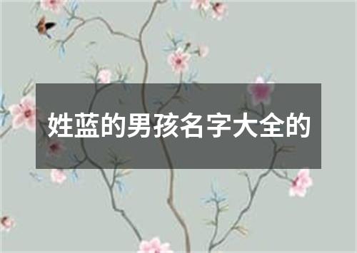 姓蓝的男孩名字大全的