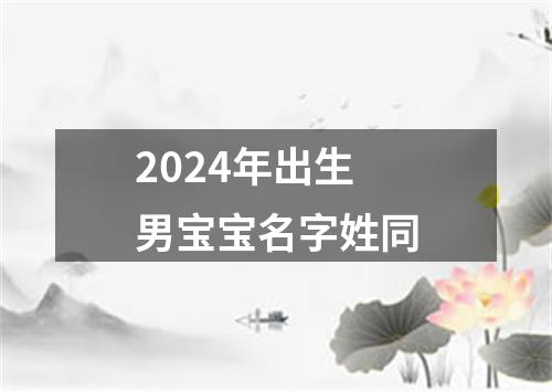 2024年出生男宝宝名字姓同