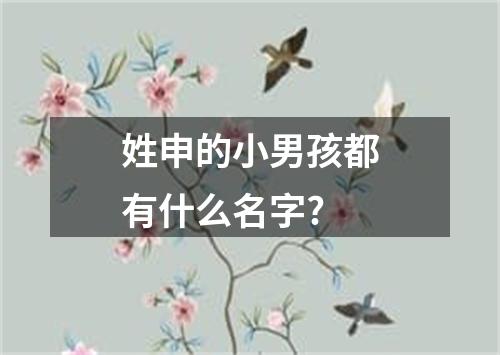 姓申的小男孩都有什么名字?