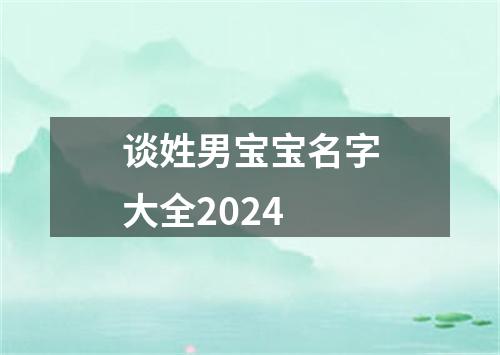 谈姓男宝宝名字大全2024