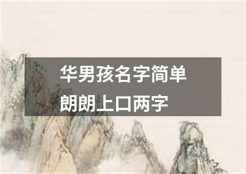 华男孩名字简单朗朗上口两字