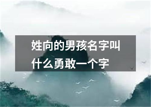 姓向的男孩名字叫什么勇敢一个字