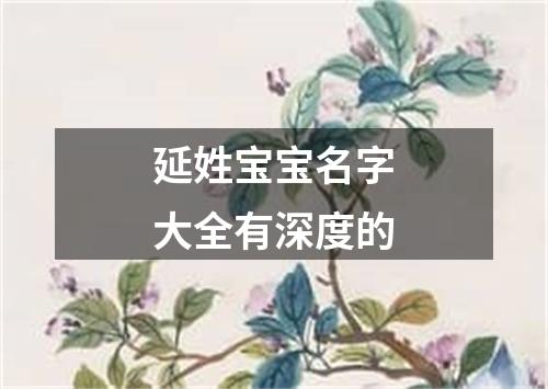 延姓宝宝名字大全有深度的