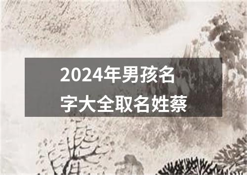 2024年男孩名字大全取名姓蔡