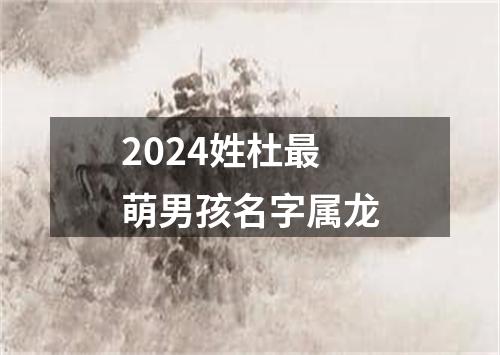 2024姓杜最萌男孩名字属龙