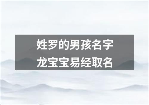 姓罗的男孩名字龙宝宝易经取名