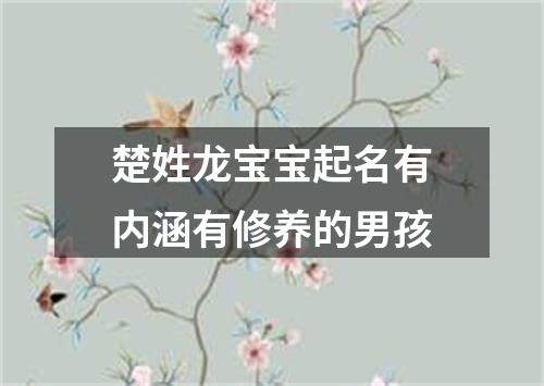 楚姓龙宝宝起名有内涵有修养的男孩