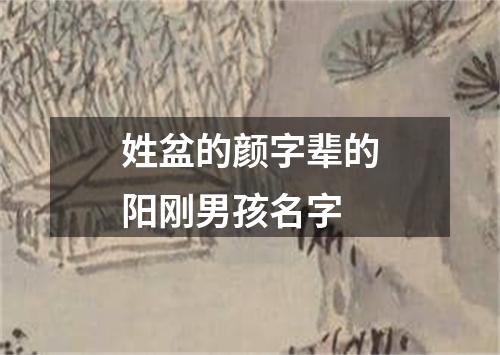 姓盆的颜字辈的阳刚男孩名字