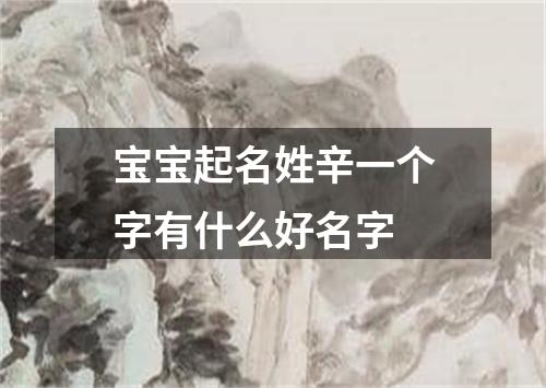 宝宝起名姓辛一个字有什么好名字