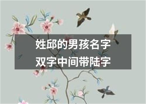 姓邱的男孩名字双字中间带陆字