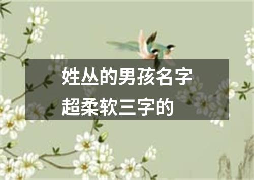 姓丛的男孩名字超柔软三字的