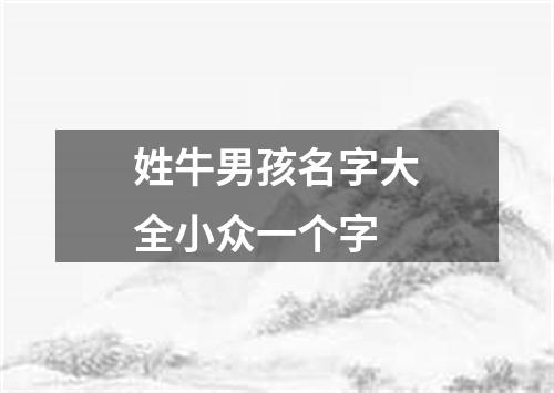 姓牛男孩名字大全小众一个字