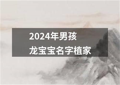 2024年男孩龙宝宝名字植家