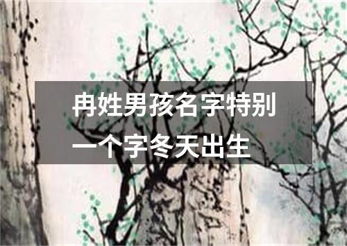 冉姓男孩名字特别一个字冬天出生