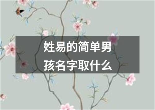 姓易的简单男孩名字取什么