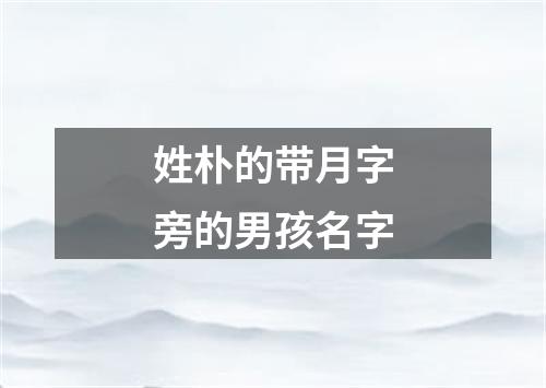 姓朴的带月字旁的男孩名字