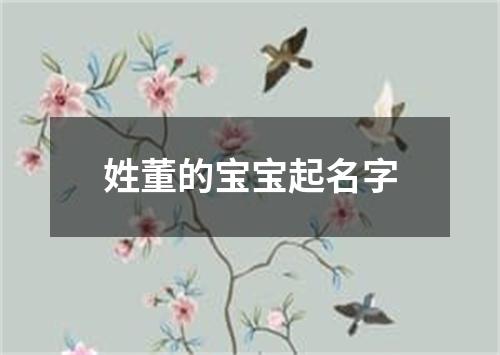 姓董的宝宝起名字