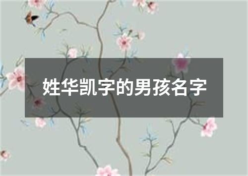 姓华凯字的男孩名字