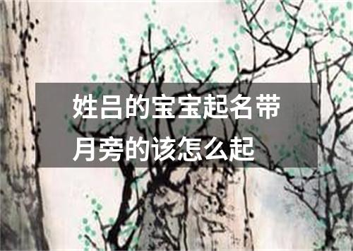 姓吕的宝宝起名带月旁的该怎么起