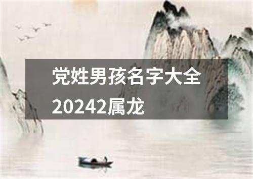 党姓男孩名字大全20242属龙