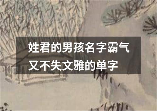 姓君的男孩名字霸气又不失文雅的单字