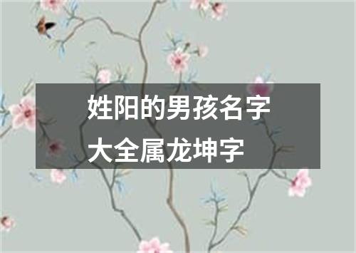 姓阳的男孩名字大全属龙坤字