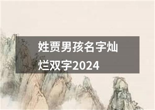 姓贾男孩名字灿烂双字2024