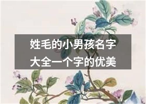 姓毛的小男孩名字大全一个字的优美