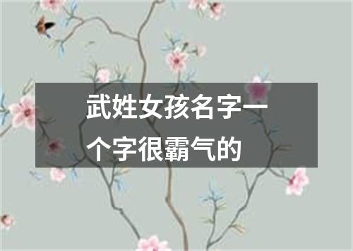 武姓女孩名字一个字很霸气的