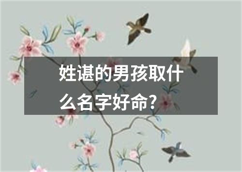 姓谌的男孩取什么名字好命?