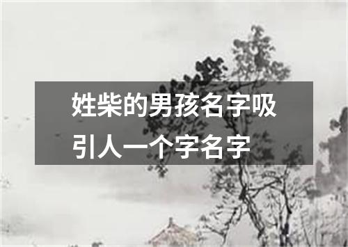 姓柴的男孩名字吸引人一个字名字