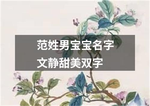 范姓男宝宝名字文静甜美双字