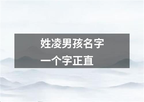 姓凌男孩名字一个字正直